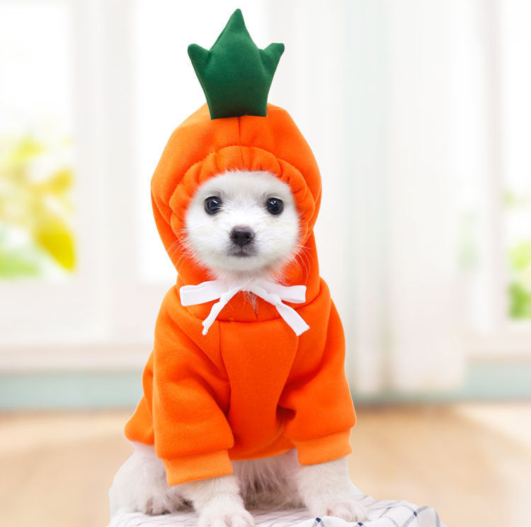 Cute Fruit Dog Clothes For Dogs