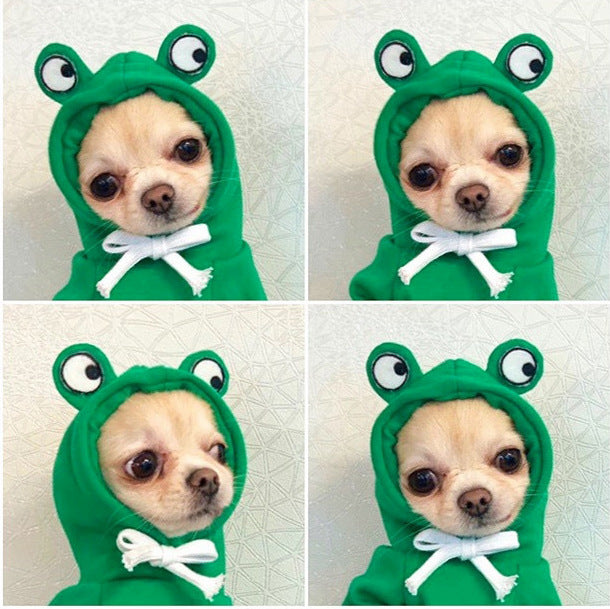 Cute Fruit Dog Clothes For Dogs