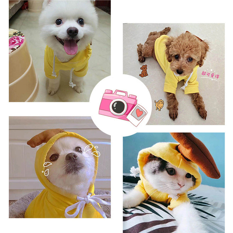 Cute Fruit Dog Clothes For Dogs