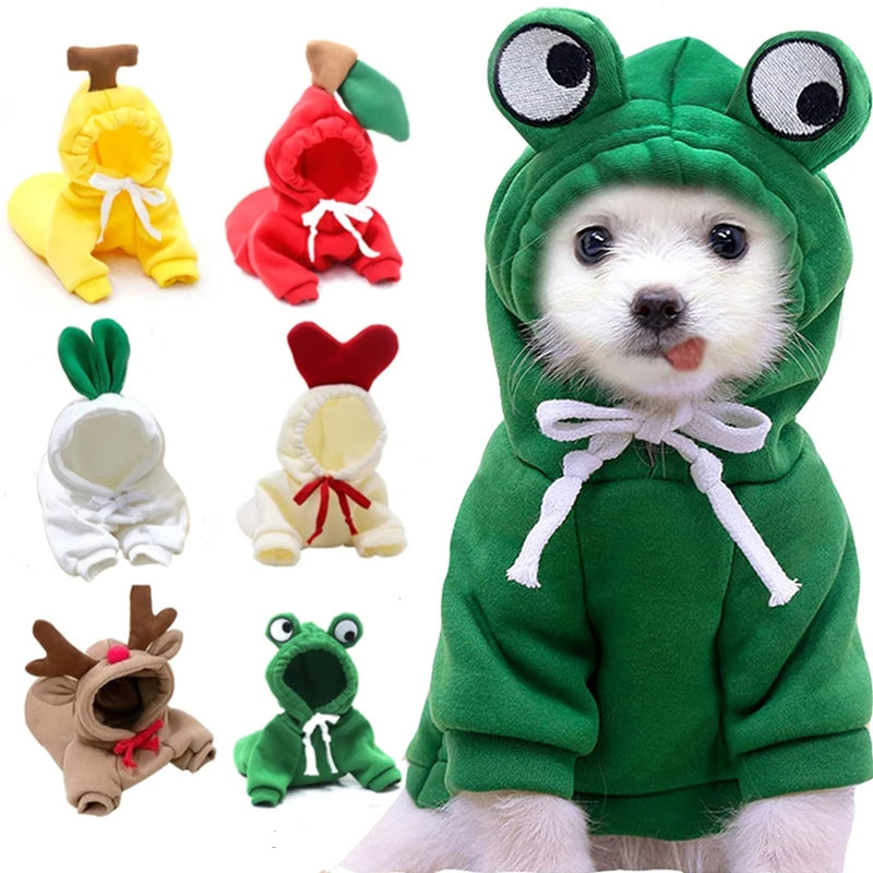 Cute Fruit Dog Clothes For Dogs