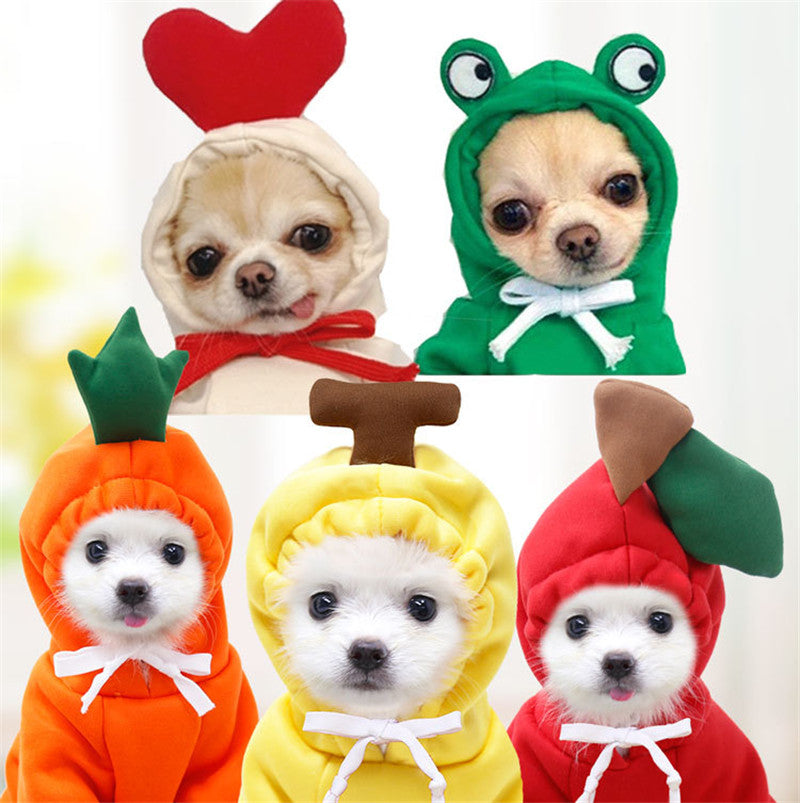 Cute Fruit Dog Clothes For Dogs
